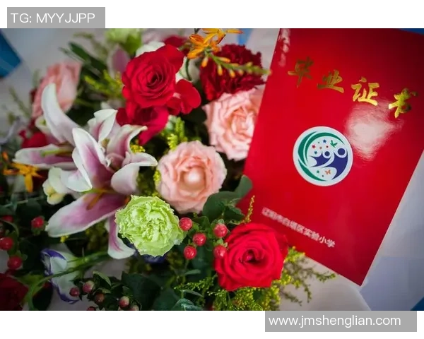 与杨丽畅谈篮球生涯的点滴与成长之路