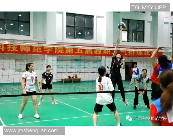 权威发布：全面解析排球比赛经验与实力的综合排行榜