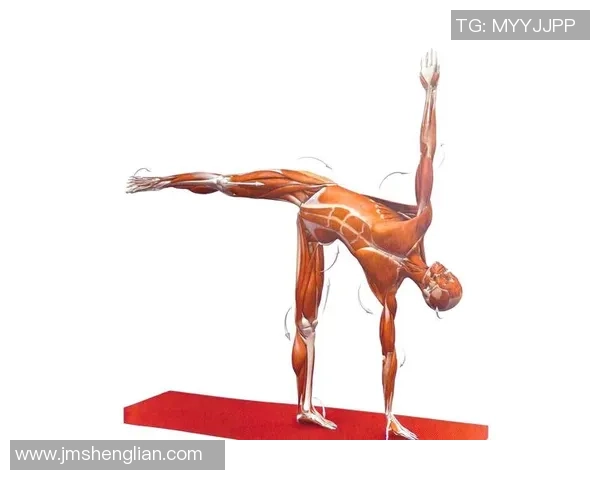 极限运动新手必看：从力量训练到技巧提升的全面入门指南